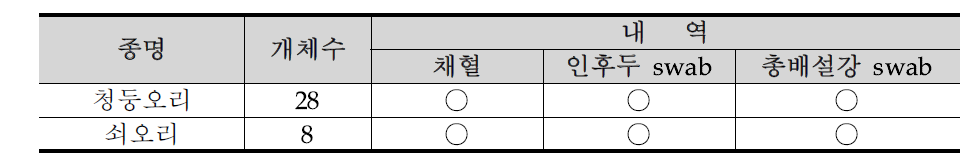 충청남도 서산시 간월호의 조류포획기록 22