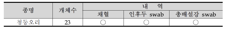 경기도 안성시 안성천의 조류포획기록 23