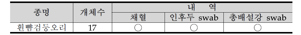 경기도 안성시 청미천의 조류포획기록 25
