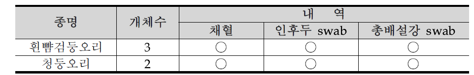 충청남도 천안시 병천천의 조류포획기록 26