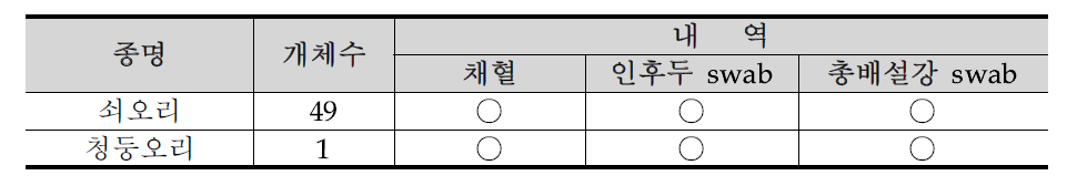 광주광역시 남구 영산강의 조류포획기록 29