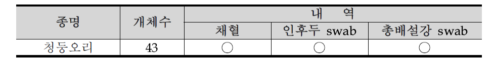 경기도 안성시 안성천의 조류포획기록 32