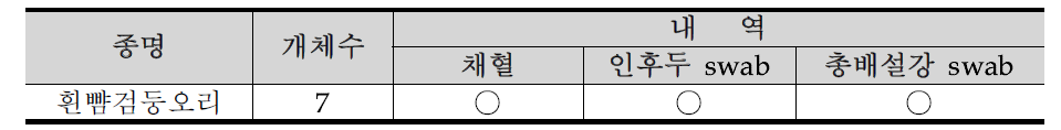경기도 안성시 안성천의 조류포획기록 33