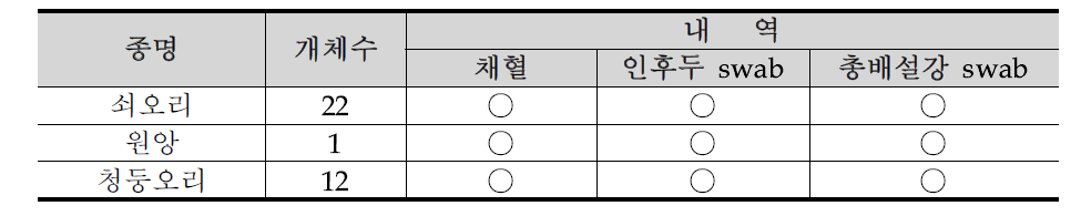 충청남도 아산시 곡교천의 조류포획기록 34