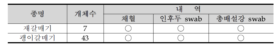 강원도 삼척시의 조류포획기록 39