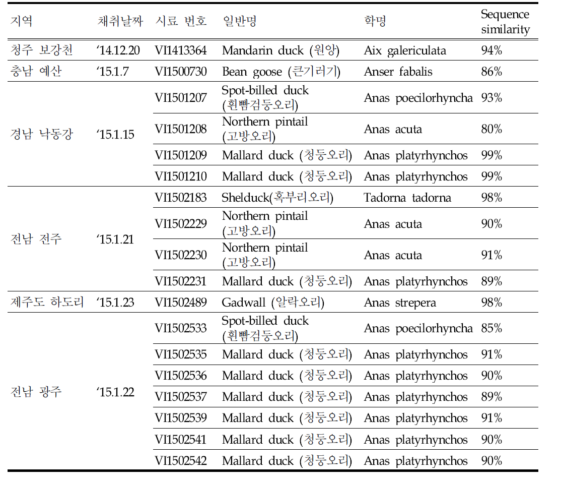 H5 양성 분변 시료에서의 종동정 결과