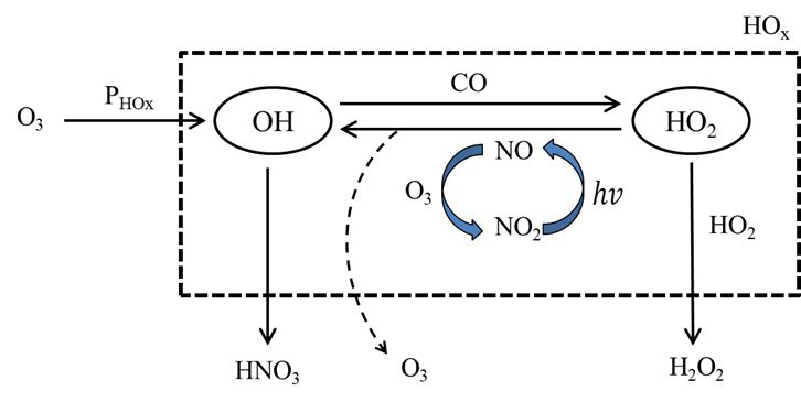 OH 라디칼에 따른 오존 생성