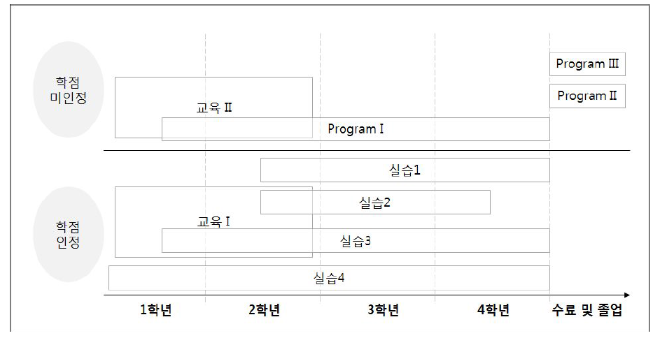 일 경험 교과과정 로드맵