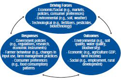 Driving force– Outcomes - Response Framework