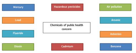 WHO’s Ten chemicals of major public health concern