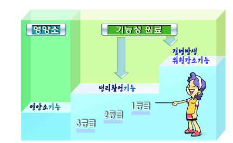 현행 기능성 원료의 기능성 등급 및 내용