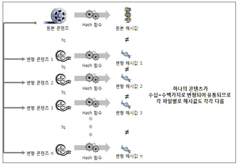 해시 기반 필터링 기술 취약점