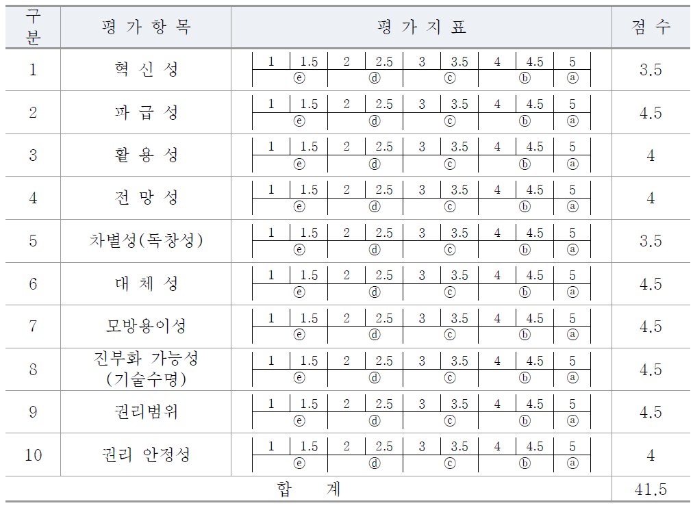 기술성(권리성 포함) 평가 (예시)