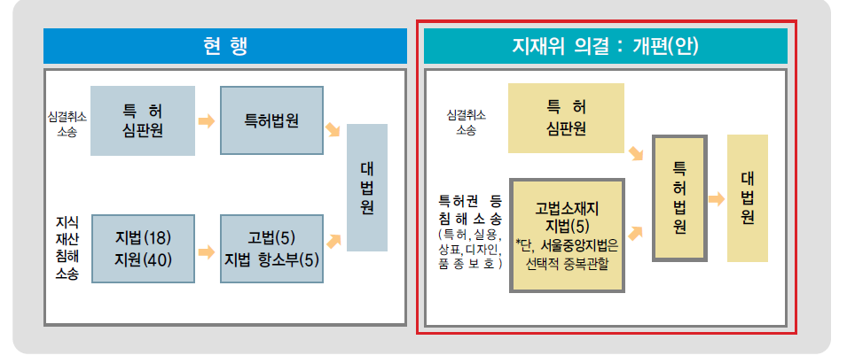 특허 등 지식재산권 소송 관할제도 개선 전·후 비교