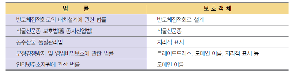 신지식재산권의 보호를 위한 특별법 체계