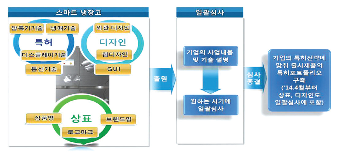 맞춤형 일괄심사 개념도