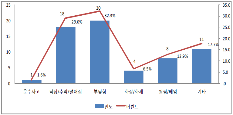 자녀의 손상 원인