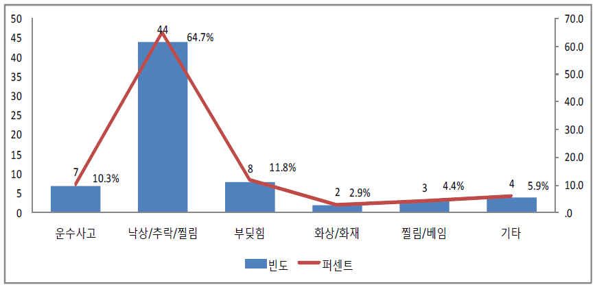 노인의 손상기전