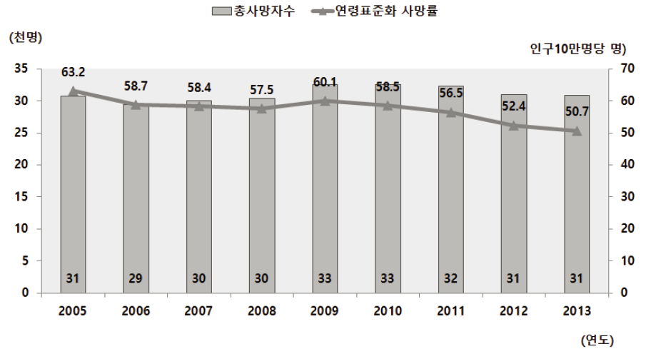 전국 손상사망자 발생 추이 (2005~2013년)