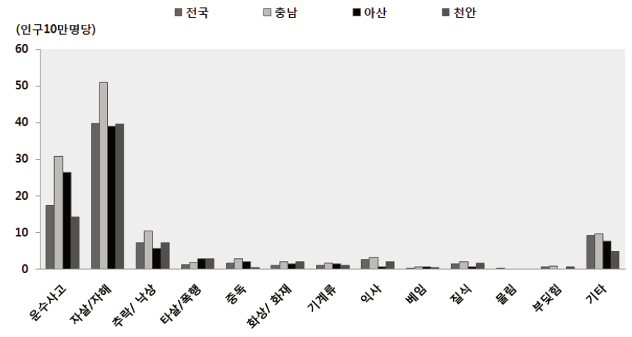 2013년 아산시 남자 손상기전별 연령표준화 사망률