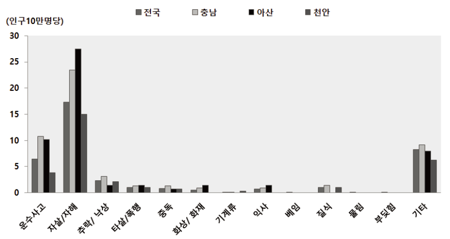 2013년 아산시 여자 손상기전별 연령표준화 사망률