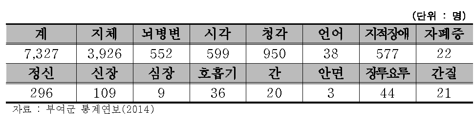 부여군 등록장애인 장애유형별 현황