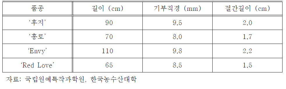 품종 별 신초 생장 비교