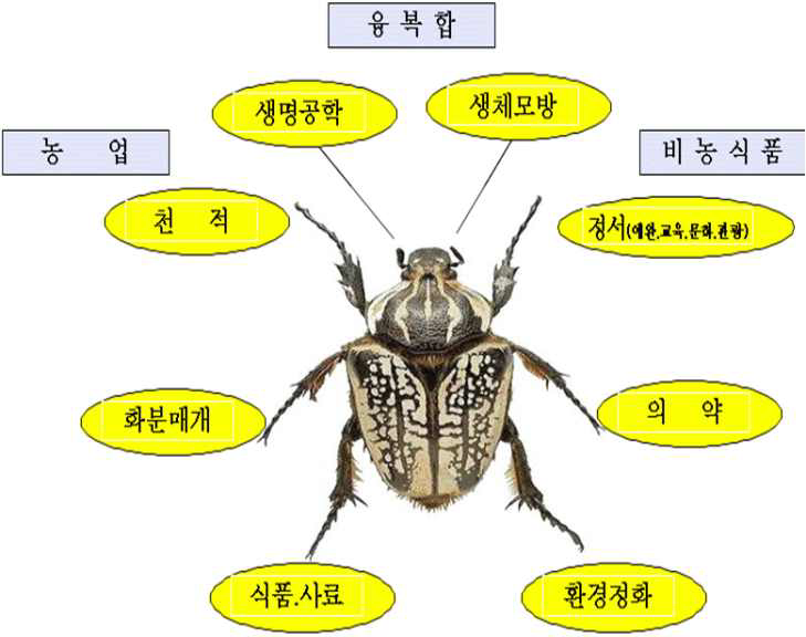 곤충산업의 부문별 영역