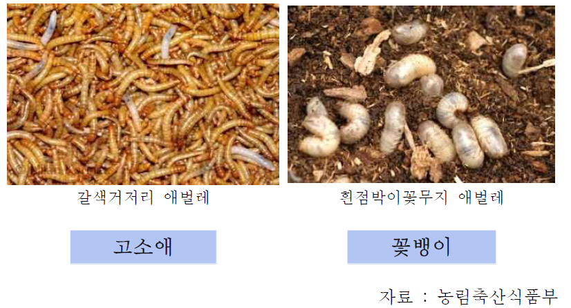 식용곤충 이름 변경