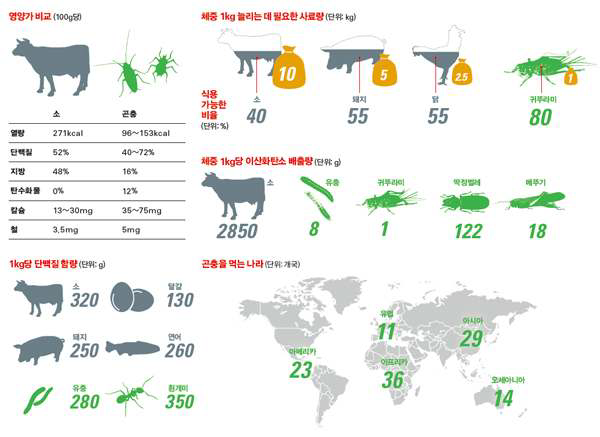 가축 대비 식용곤충의 장점