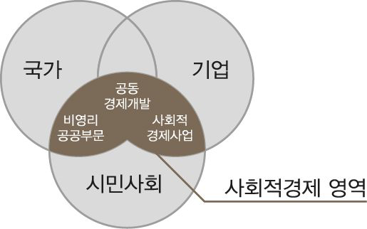 사회적경제의 영역