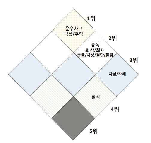 최종 65세 이상 손상기전 우선순위