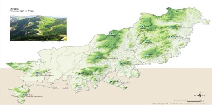 부산시 지형도