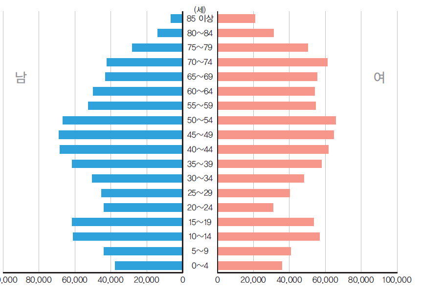 전라남도 인구피라미드(2010년)