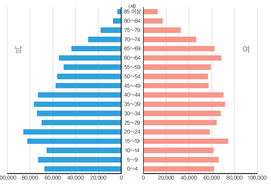 전라남도 인구피라미드(2000년)