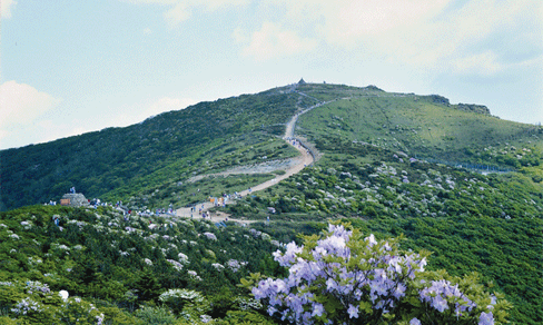 지리산의 노고단