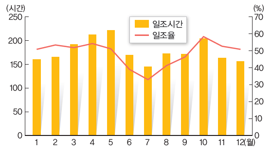 전라남도 월별 평균 일조시간과 일조율