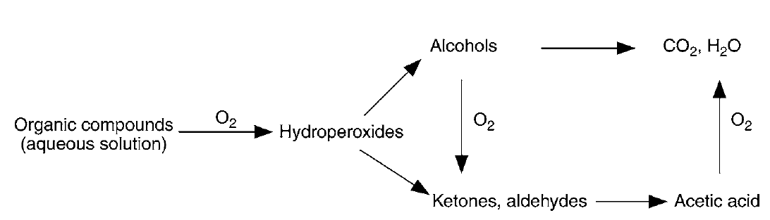 습식 산화에서 유기물의 분해 도식(Sczechowski, et al., 1995)