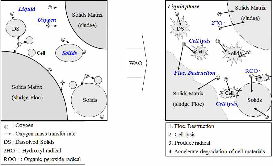 슬러지 산화 메커니즘