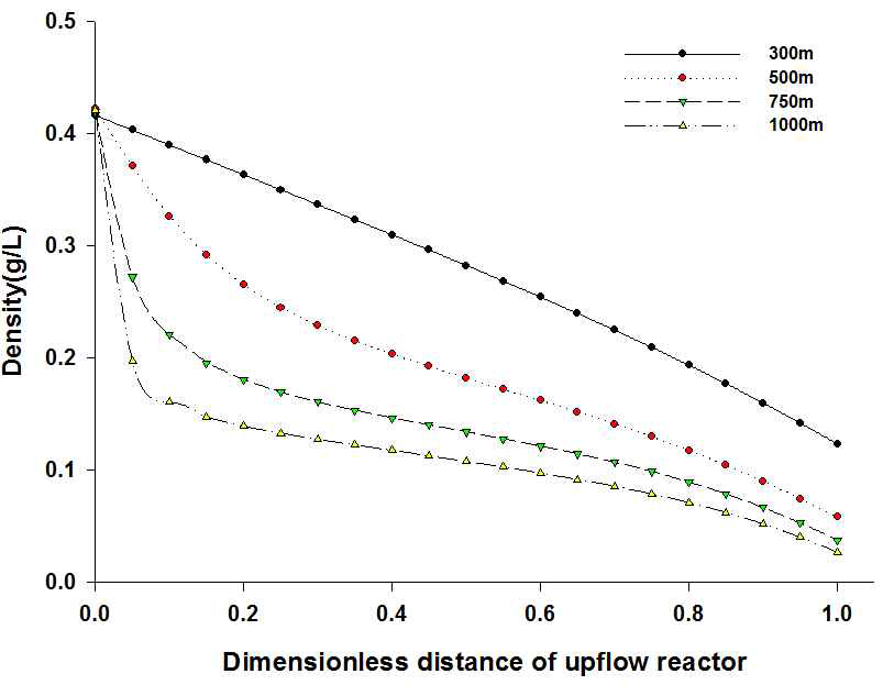 Upflow에서 각 길이 반응기 별 밀도