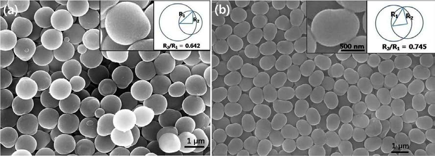Seeded emulsion polymeriation에 의해 제조된 비구형상 라텍스 입자의 주사전자현미경 이미지.
