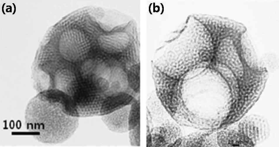 (a) 및 (b) 중간 세공 및 거대기공을 갖는 다공질 실리카 입자의 투과전자현미경 이미지