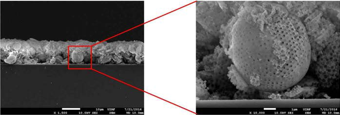 분무 건조를 거쳐 제조된 다공질 실리카 입자가 후막으로 도포된 코팅층 단면의 SEM 이미지