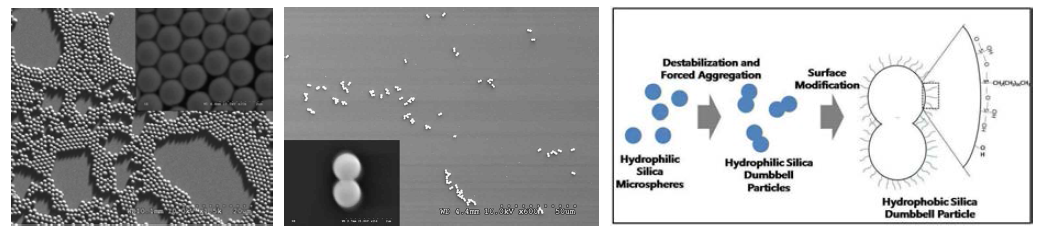 실리카 입자의 주사전자현미경 이미지(좌, 중) 및 표면 소수화 과정의 개략도(우)