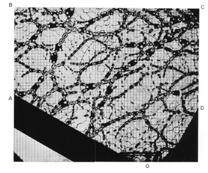 CR-39 폴리머의 원형 입자로 적층한 광탄성 이미지