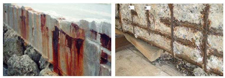 염소침투로 인한 해안지역 콘크리트 구조물의 철근부식 사례