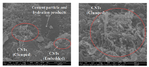 0.6 wt.% of CNTs 함유 모르타르 파단면의 SEM 이미지