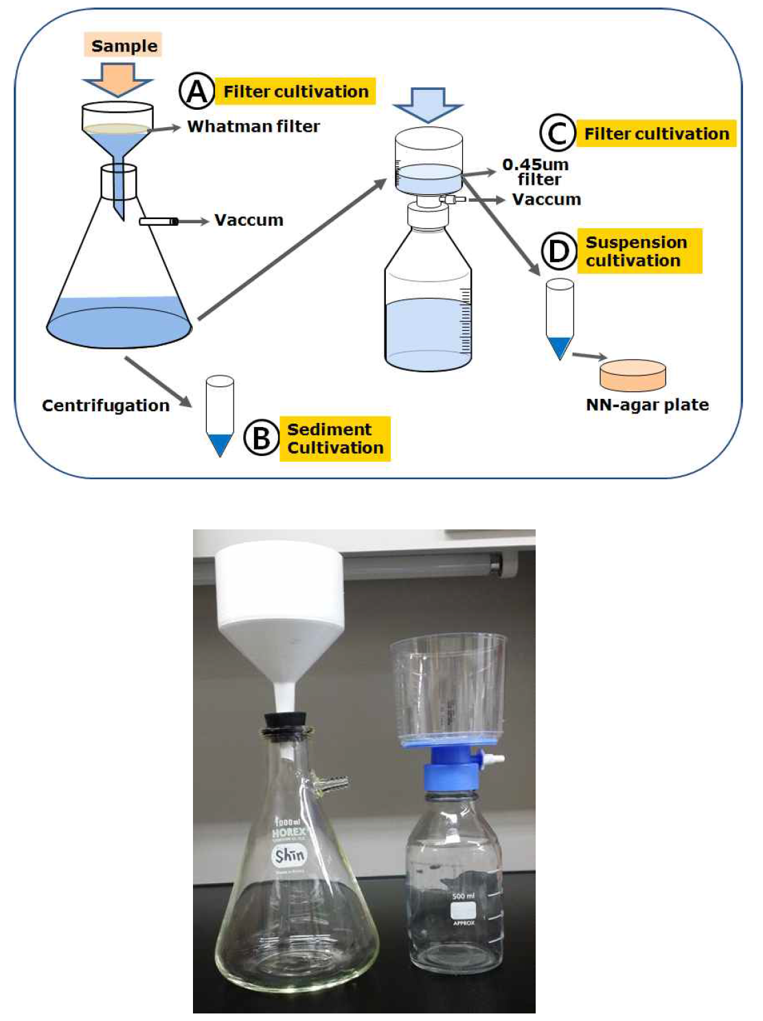 Diagram of sample filtration, and culture methods. Real apparatus (below).