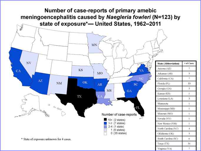 파울러자유아메바 감염에 의한 아메바성 수막뇌염의 증례보고 (미국)