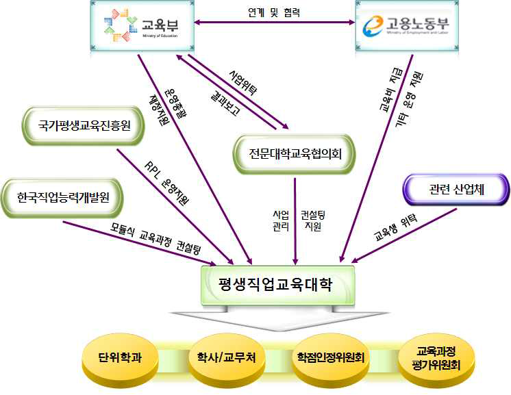 평생직업교육대학 추진 체계